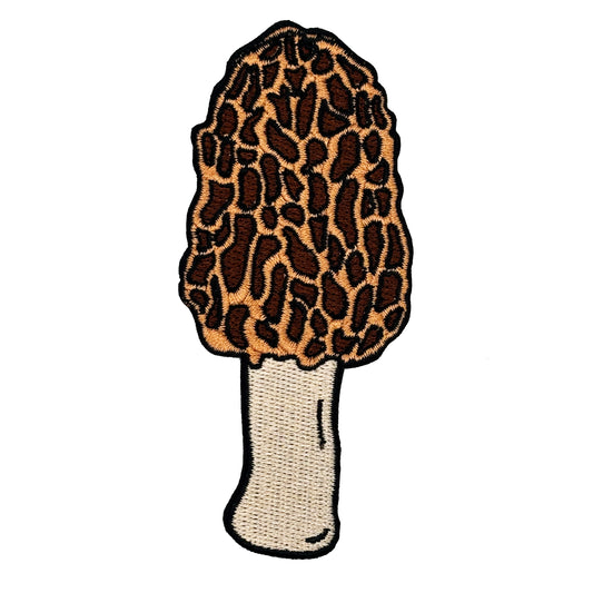 Morel Mushroom patch