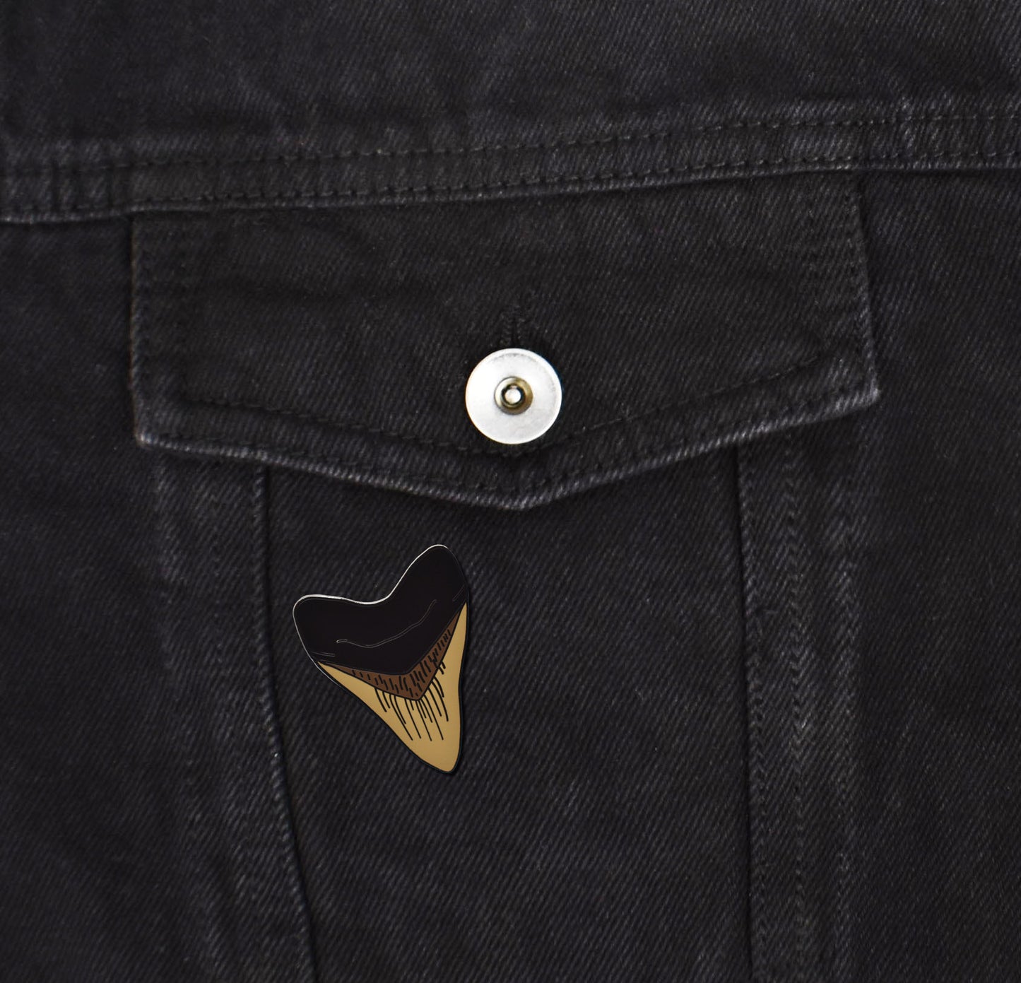 Black Megalodon Shark Tooth Hard Enamel Pin - Clayton Jewelry Labs