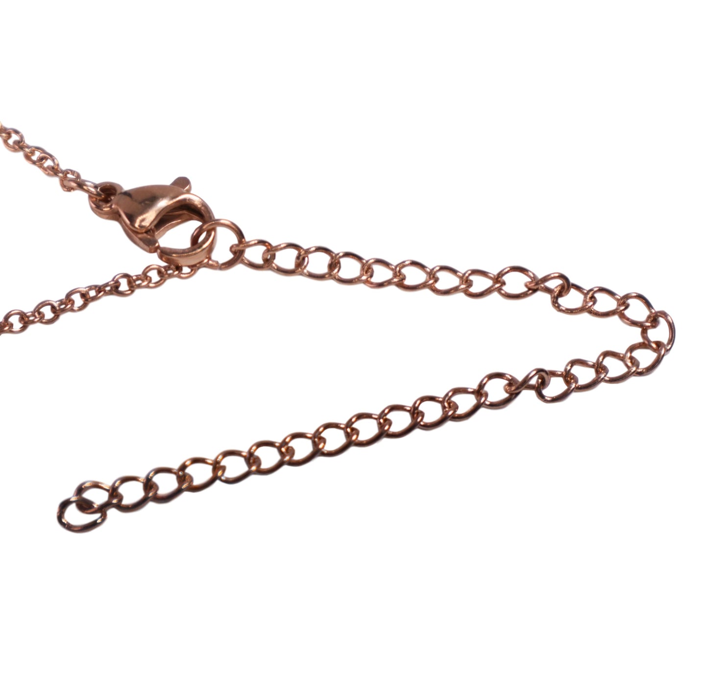 Nerve Cell Science Stainless Steel Pendant Necklace