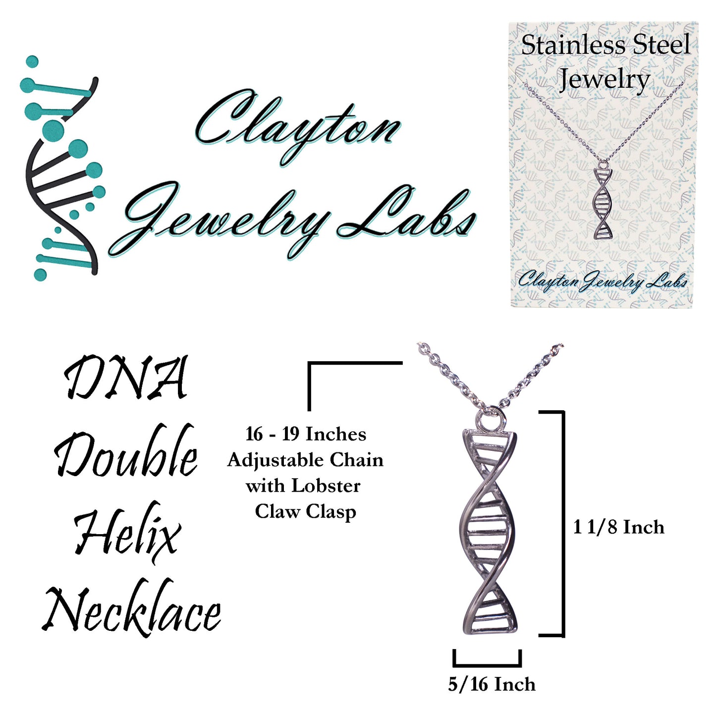 DNA Double Helix Stainless Steel Necklace