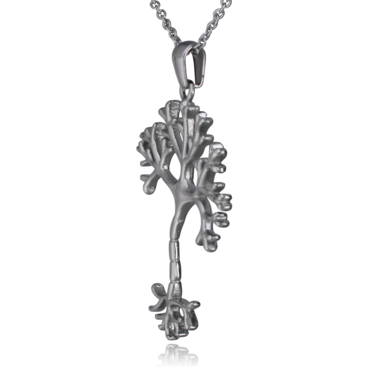 Nerve Cell Science Stainless Steel Pendant Necklace