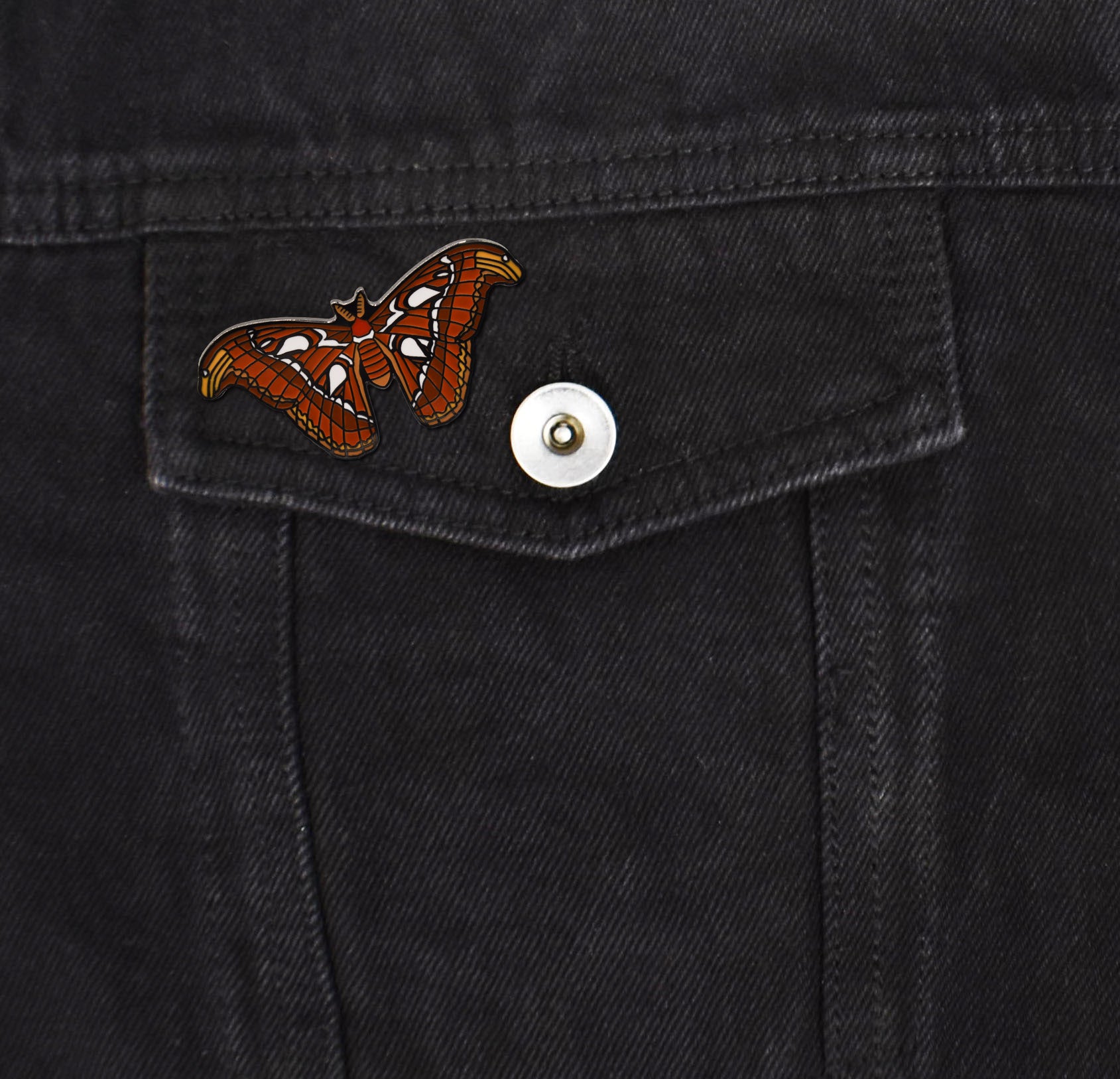 Atlas Moth Hard Enamel Pin - Clayton Jewelry Labs