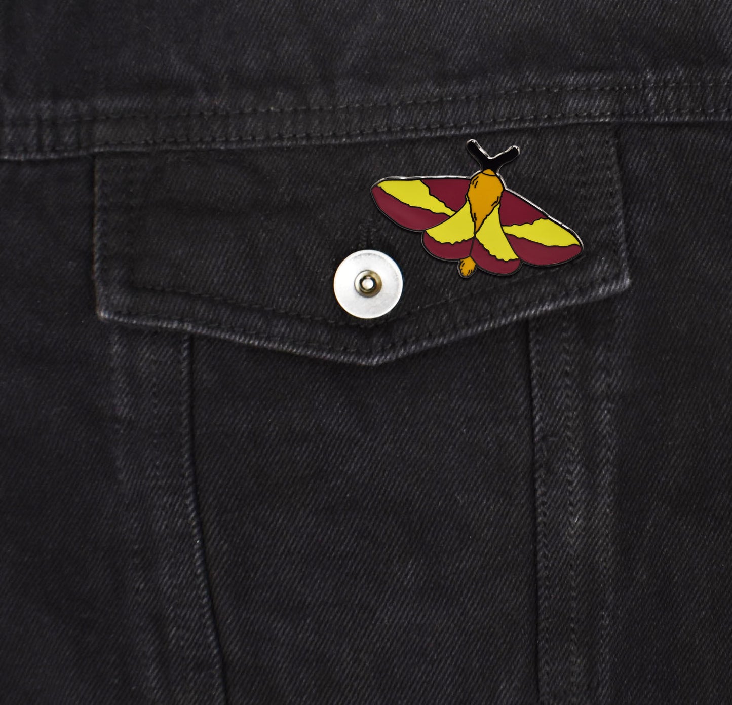 Black Rosie Maple Moth Insect Hard Enamel Pin - Clayton Jewelry Labs