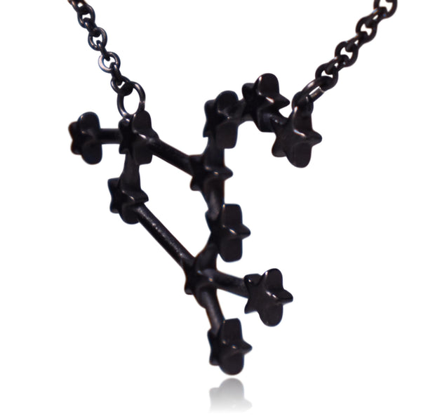 Black Leo Zodiac Constellation Stainless Steel Pendant Necklace