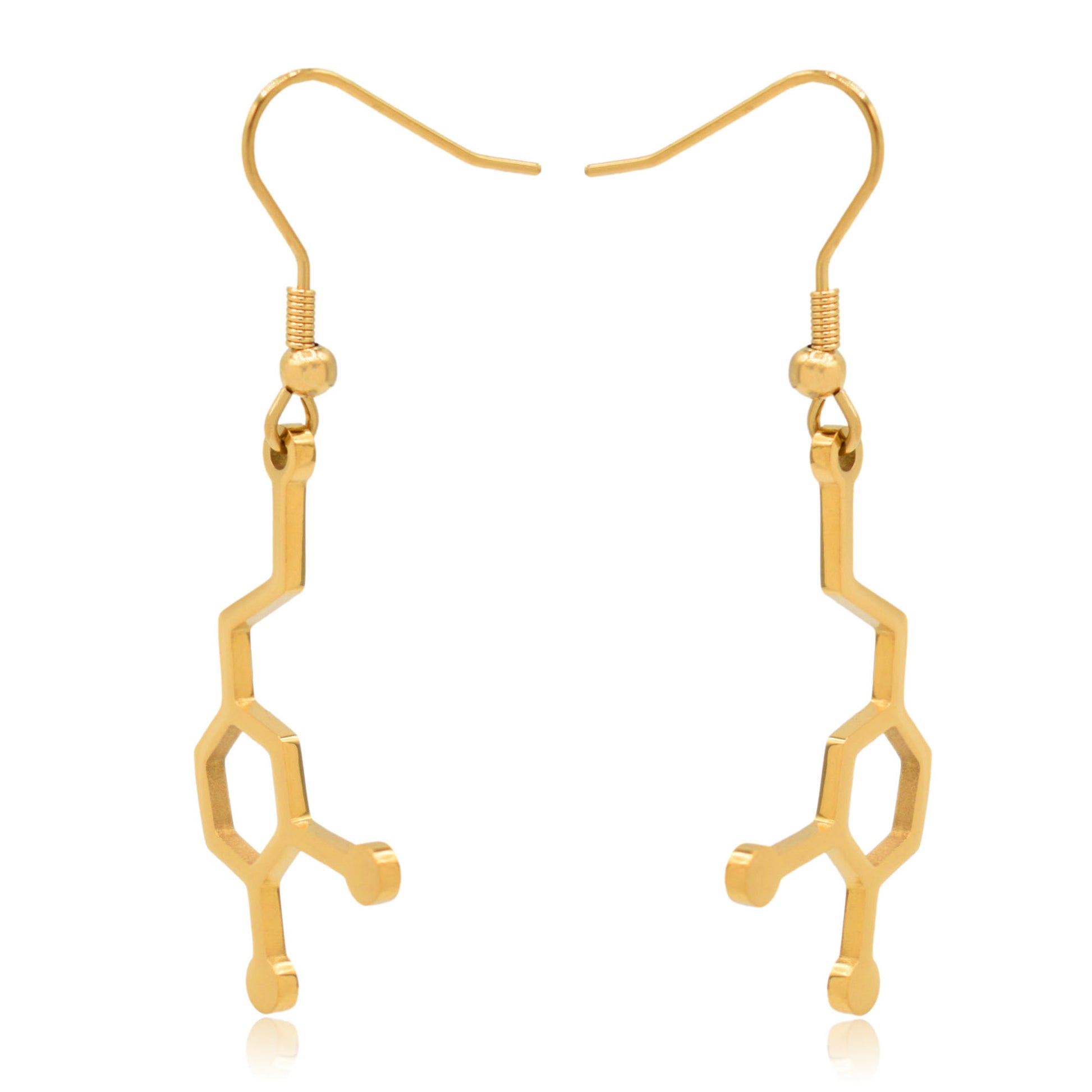 Dopamine Molecule Stainless Steel Dangle Earrings