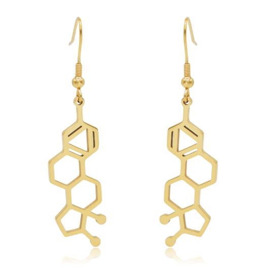 Estrogen Molecule Stainless Steel Dangle Earrings