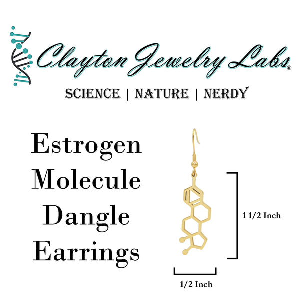 Estrogen Molecule Stainless Steel Dangle Earrings
