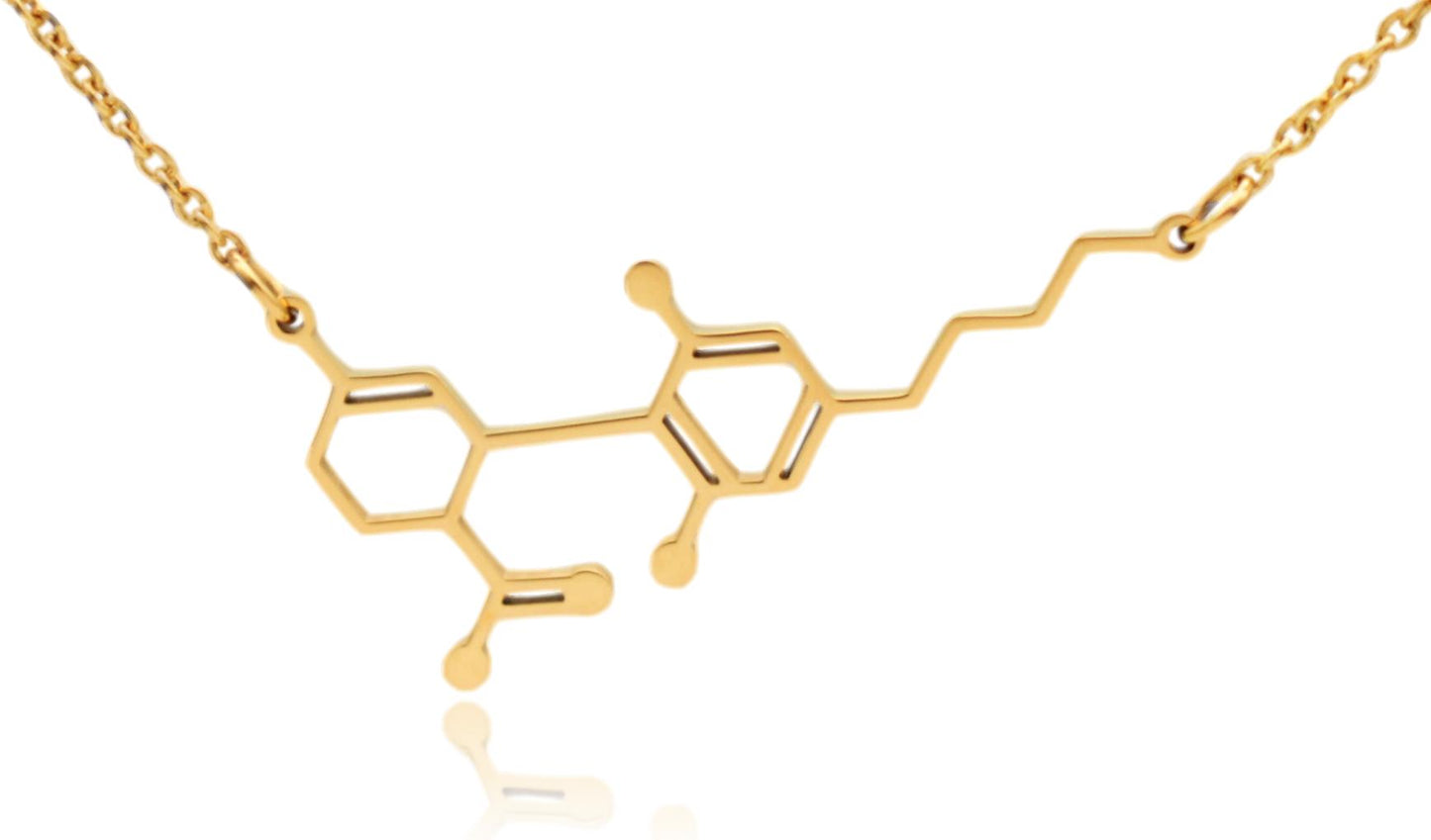 CBD Cannabidiol Molecule Stainless Steel Necklace