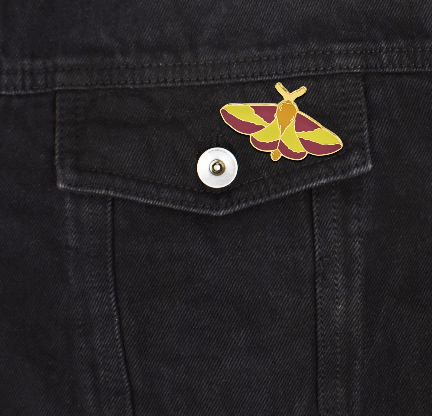 Gold Rosie Maple Moth Insect Hard Enamel Pin - Clayton Jewelry Labs