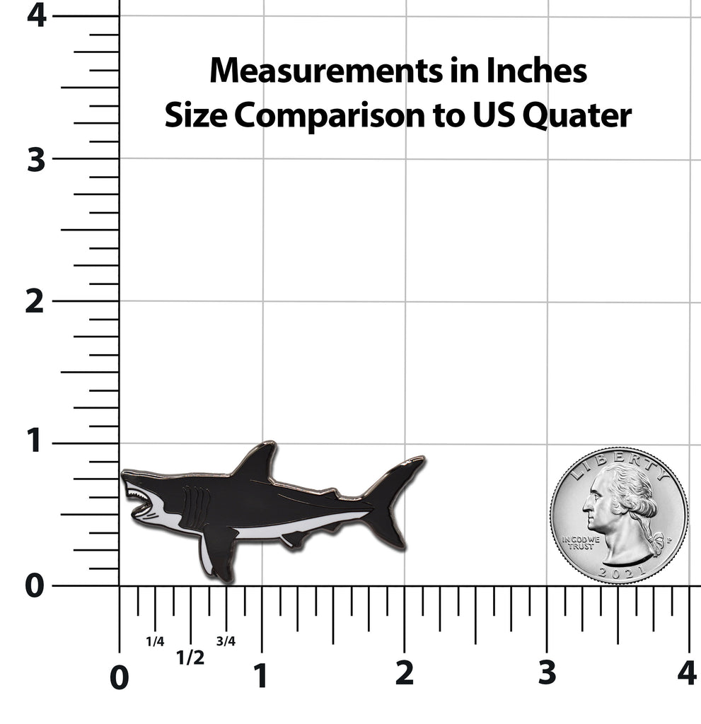 Megalodon Size Chart