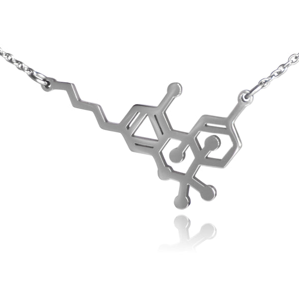 THC Tetrahydrocannabinol Marijuana Molecule Stainless Steel Necklace
