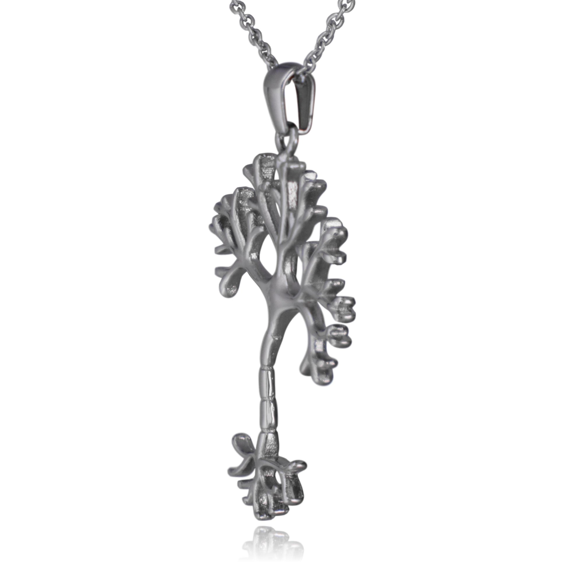 Nerve Cell Science Stainless Steel Pendant Necklace